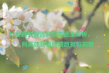行業(yè)趨勢報告獲取渠道全解析，如何高效獲取權(quán)威數(shù)據(jù)與洞察