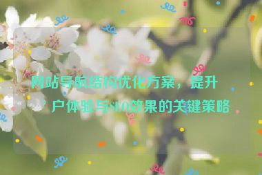 網(wǎng)站導(dǎo)航結(jié)構(gòu)優(yōu)化方案，提升用戶體驗(yàn)與SEO效果的關(guān)鍵策略