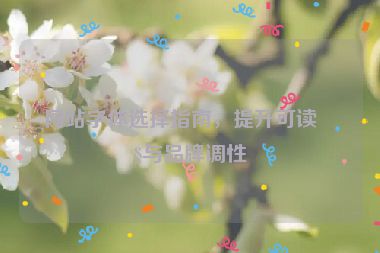 網(wǎng)站字體選擇指南，提升可讀性與品牌調(diào)性