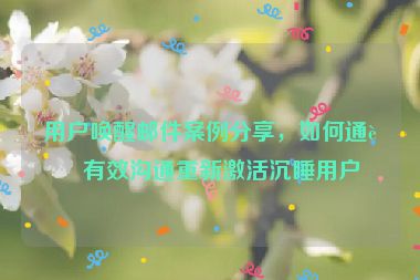 用戶喚醒郵件案例分享，如何通過有效溝通重新激活沉睡用戶