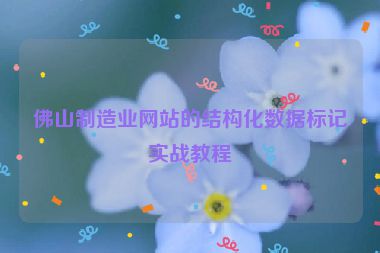 佛山制造業(yè)網(wǎng)站的結(jié)構(gòu)化數(shù)據(jù)標記實戰(zhàn)教程