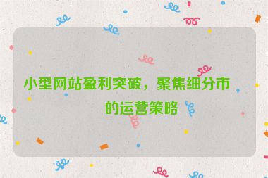 小型網(wǎng)站盈利突破，聚焦細分市場的運營策略