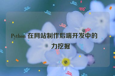 Python 在網(wǎng)站制作后端開(kāi)發(fā)中的潛力挖掘