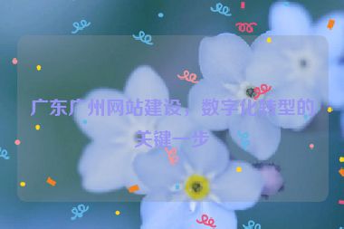 廣東廣州網(wǎng)站建設(shè)，數(shù)字化轉(zhuǎn)型的關(guān)鍵一步