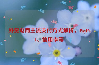 外貿(mào)電商主流支付方式解析，PayPal、信用卡等