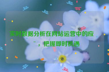 實(shí)時(shí)數(shù)據(jù)分析在網(wǎng)站運(yùn)營(yíng)中的應(yīng)用，把握即時(shí)機(jī)遇