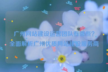 廣州網(wǎng)站建設(shè)運營團隊有哪些？全面解析廣州優(yōu)質(zhì)網(wǎng)站建設(shè)服務(wù)商