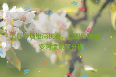 下沉市場電商機(jī)會(huì)，三四線城市消費(fèi)習(xí)慣深度分析