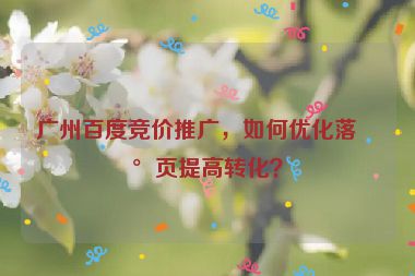 廣州百度競(jìng)價(jià)推廣，如何優(yōu)化落地頁提高轉(zhuǎn)化？