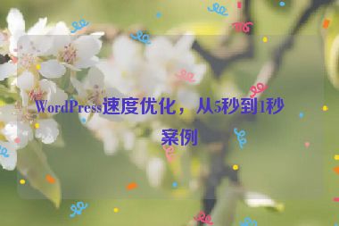 WordPress速度優(yōu)化，從5秒到1秒的案例
