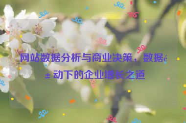網(wǎng)站數(shù)據(jù)分析與商業(yè)決策，數(shù)據(jù)驅(qū)動下的企業(yè)增長之道