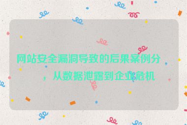 網(wǎng)站安全漏洞導致的后果案例分析，從數(shù)據(jù)泄露到企業(yè)危機