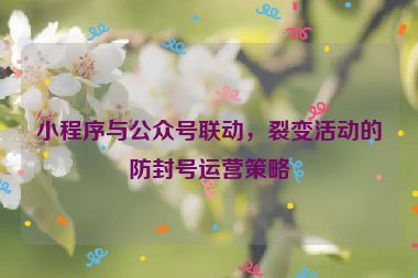 小程序與公眾號(hào)聯(lián)動(dòng)，裂變活動(dòng)的防封號(hào)運(yùn)營(yíng)策略