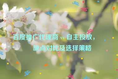 百度推廣代理商 vs 自主投放，優(yōu)缺點對比及選擇策略
