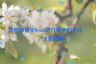 如何利用SEMrush進(jìn)行競(jìng)爭(zhēng)對(duì)手分析，全面指南