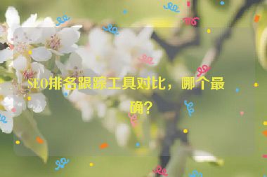 SEO排名跟蹤工具對比，哪個最準(zhǔn)確？