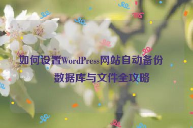 如何設(shè)置WordPress網(wǎng)站自動備份，數(shù)據(jù)庫與文件全攻略