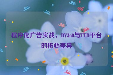 程序化廣告實(shí)戰(zhàn)，DV360與TTD平臺(tái)的核心差異