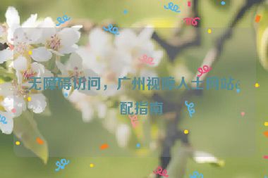 無障礙訪問，廣州視障人士網(wǎng)站適配指南