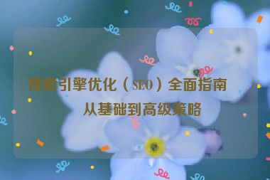 搜索引擎優(yōu)化（SEO）全面指南，從基礎(chǔ)到高級(jí)策略