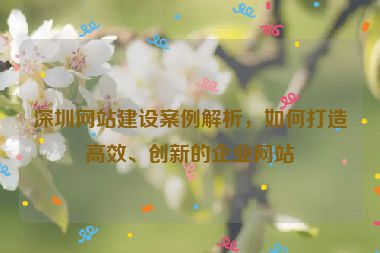 深圳網(wǎng)站建設(shè)案例解析，如何打造高效、創(chuàng)新的企業(yè)網(wǎng)站