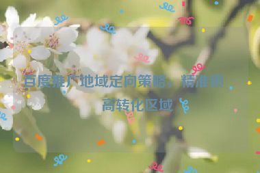 百度推廣地域定向策略，精準鎖定高轉(zhuǎn)化區(qū)域