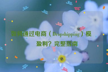 如何通過(guò)電商（Dropshipping）模式盈利？完整指南