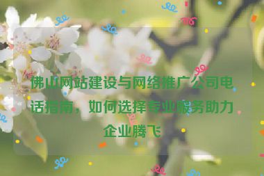 佛山網(wǎng)站建設(shè)與網(wǎng)絡(luò)推廣公司電話指南，如何選擇專業(yè)服務(wù)助力企業(yè)騰飛