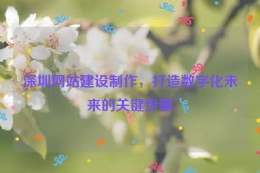 深圳網(wǎng)站建設(shè)制作，打造數(shù)字化未來(lái)的關(guān)鍵步驟