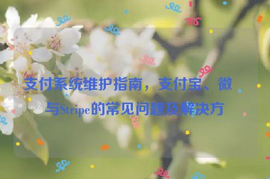 支付系統(tǒng)維護指南，支付寶、微信與Stripe的常見問題及解決方案