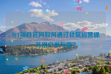 NFT項目官網(wǎng)如何通過社區(qū)運營提升用戶參與度？