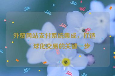 外貿(mào)網(wǎng)站支付系統(tǒng)集成，打造全球化交易的關(guān)鍵一步