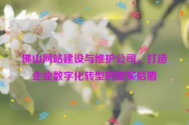 佛山網(wǎng)站建設(shè)與維護(hù)公司，打造企業(yè)數(shù)字化轉(zhuǎn)型的堅(jiān)實(shí)后盾
