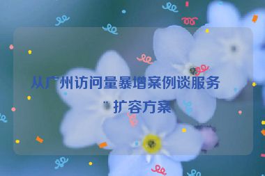 從廣州訪問量暴增案例談服務(wù)器擴(kuò)容方案