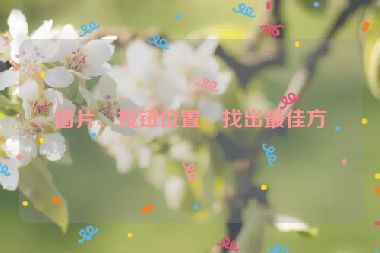、圖片、按鈕位置，找出最佳方案