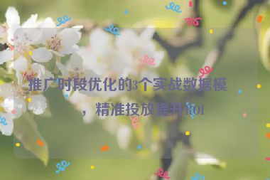 推廣時段優(yōu)化的3個實戰(zhàn)數(shù)據(jù)模型，精準投放提升ROI