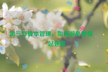 第三方腳本管理，如何避免拖慢網(wǎng)站速度