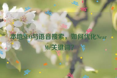 本地SEO與語音搜索，如何優(yōu)化Near Me關(guān)鍵詞？