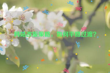 網(wǎng)站改版策略，如何平穩(wěn)過渡？
