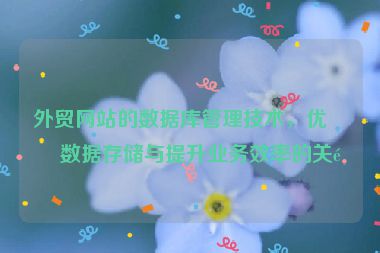 外貿(mào)網(wǎng)站的數(shù)據(jù)庫管理技術(shù)，優(yōu)化數(shù)據(jù)存儲與提升業(yè)務(wù)效率的關(guān)鍵