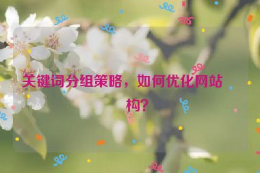 關(guān)鍵詞分組策略，如何優(yōu)化網(wǎng)站結(jié)構(gòu)？
