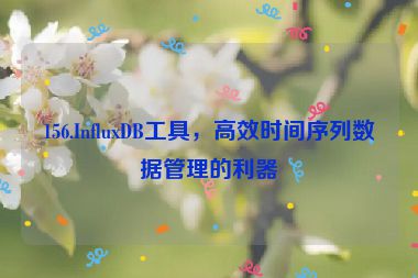 156.InfluxDB工具，高效時(shí)間序列數(shù)據(jù)管理的利器