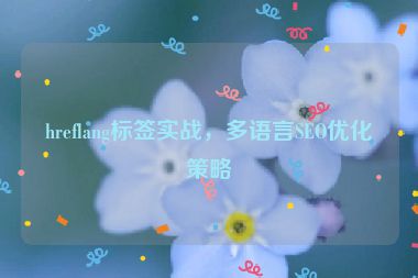 hreflang標(biāo)簽實戰(zhàn)，多語言SEO優(yōu)化策略