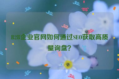 B2B企業(yè)官網(wǎng)如何通過SEO獲取高質(zhì)量詢盤？
