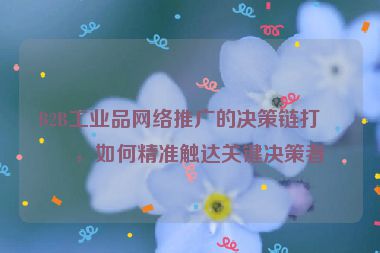 B2B工業(yè)品網(wǎng)絡推廣的決策鏈打法，如何精準觸達關鍵決策者