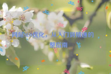 網(wǎng)站SEO優(yōu)化，從入門到精通的完整指南