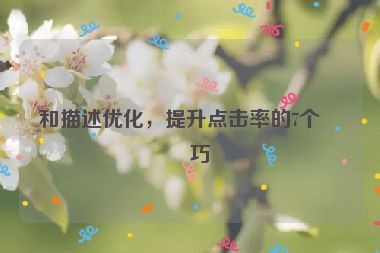 和描述優(yōu)化，提升點(diǎn)擊率的7個(gè)技巧