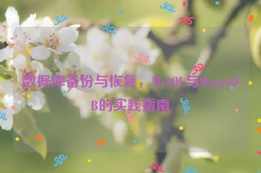 數(shù)據(jù)庫備份與恢復(fù)，MySQL與MongoDB的實(shí)踐指南