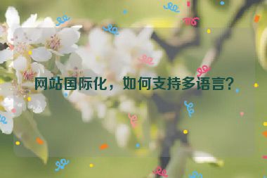 網(wǎng)站國際化，如何支持多語言？