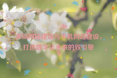 深圳網(wǎng)站建設(shè)與手機(jī)網(wǎng)站建設(shè)，打造數(shù)字化未來(lái)的雙引擎